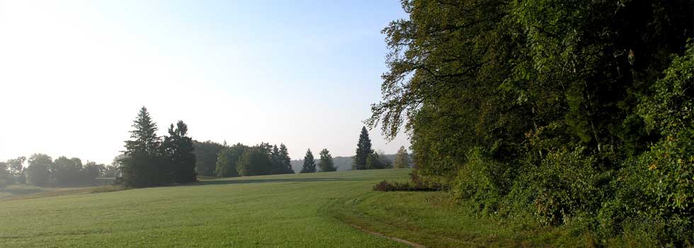 Psychologische Beratung